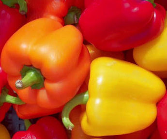 Болгарский перец 