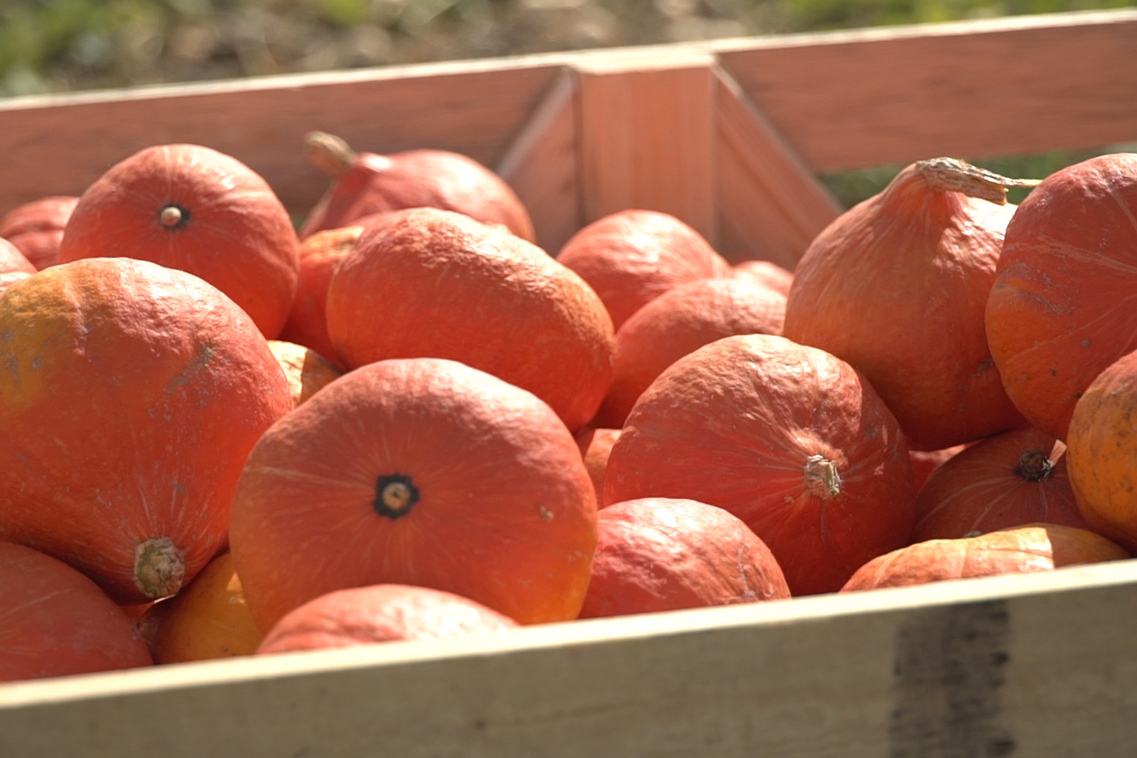 Описание изображения