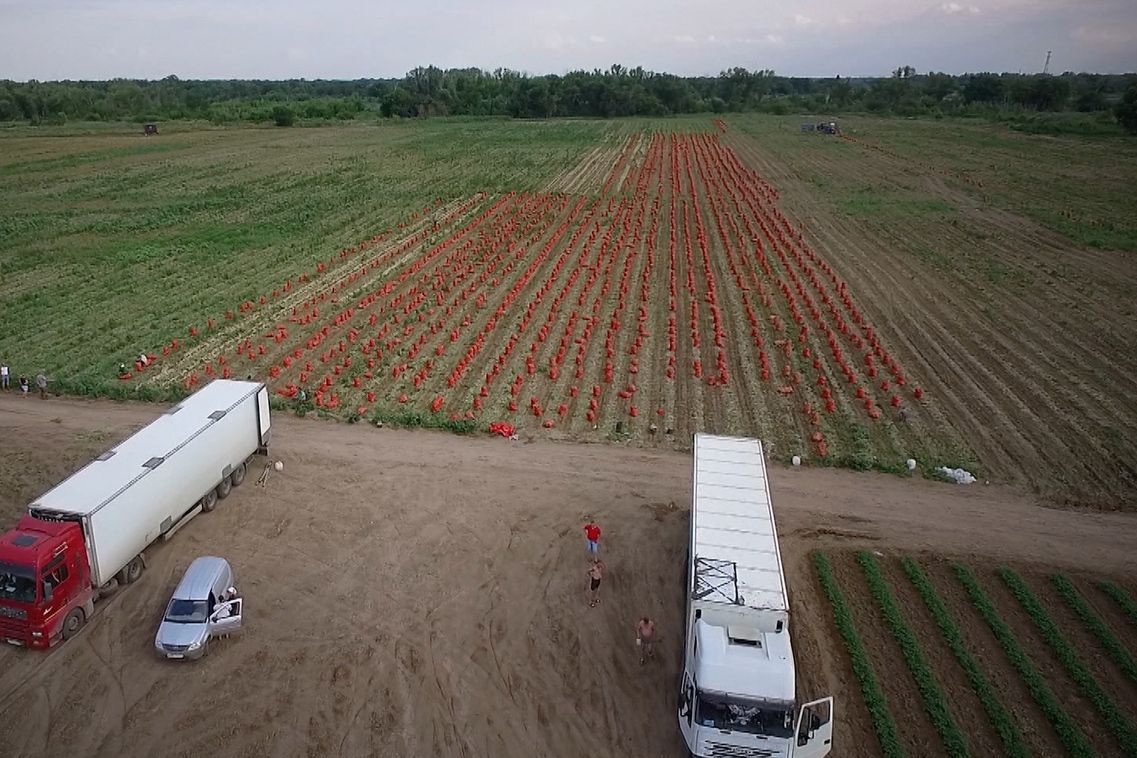 Описание изображения