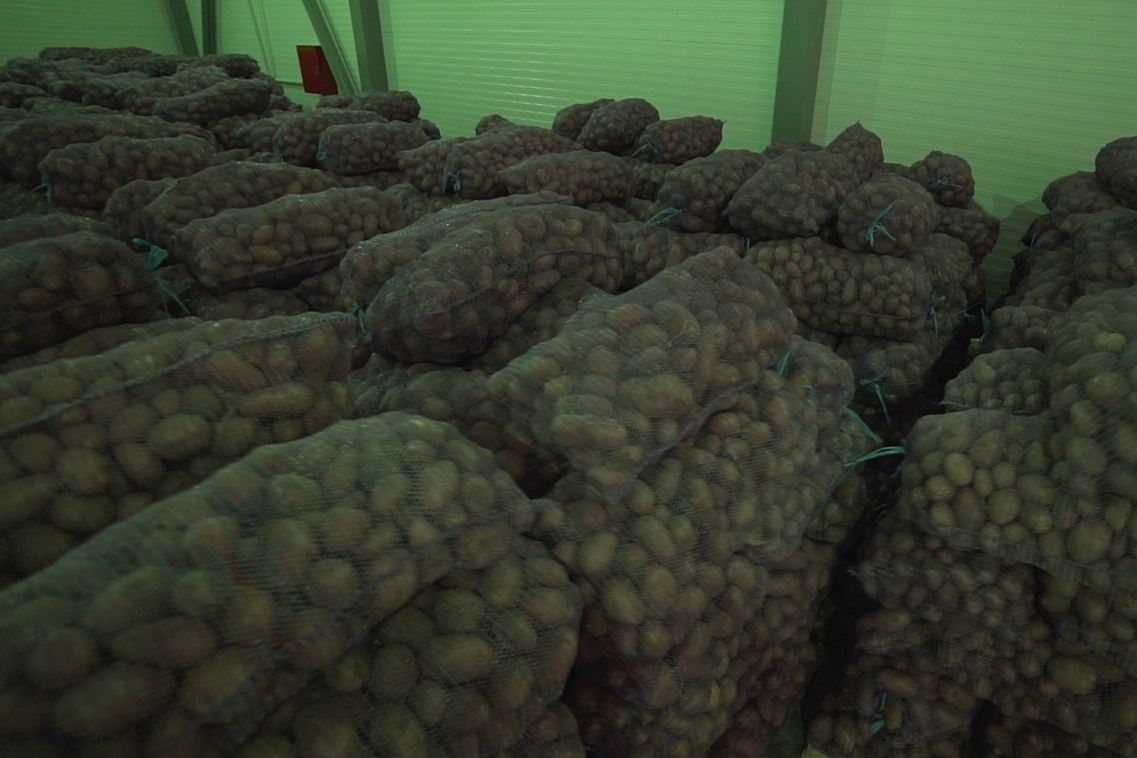 Описание изображения