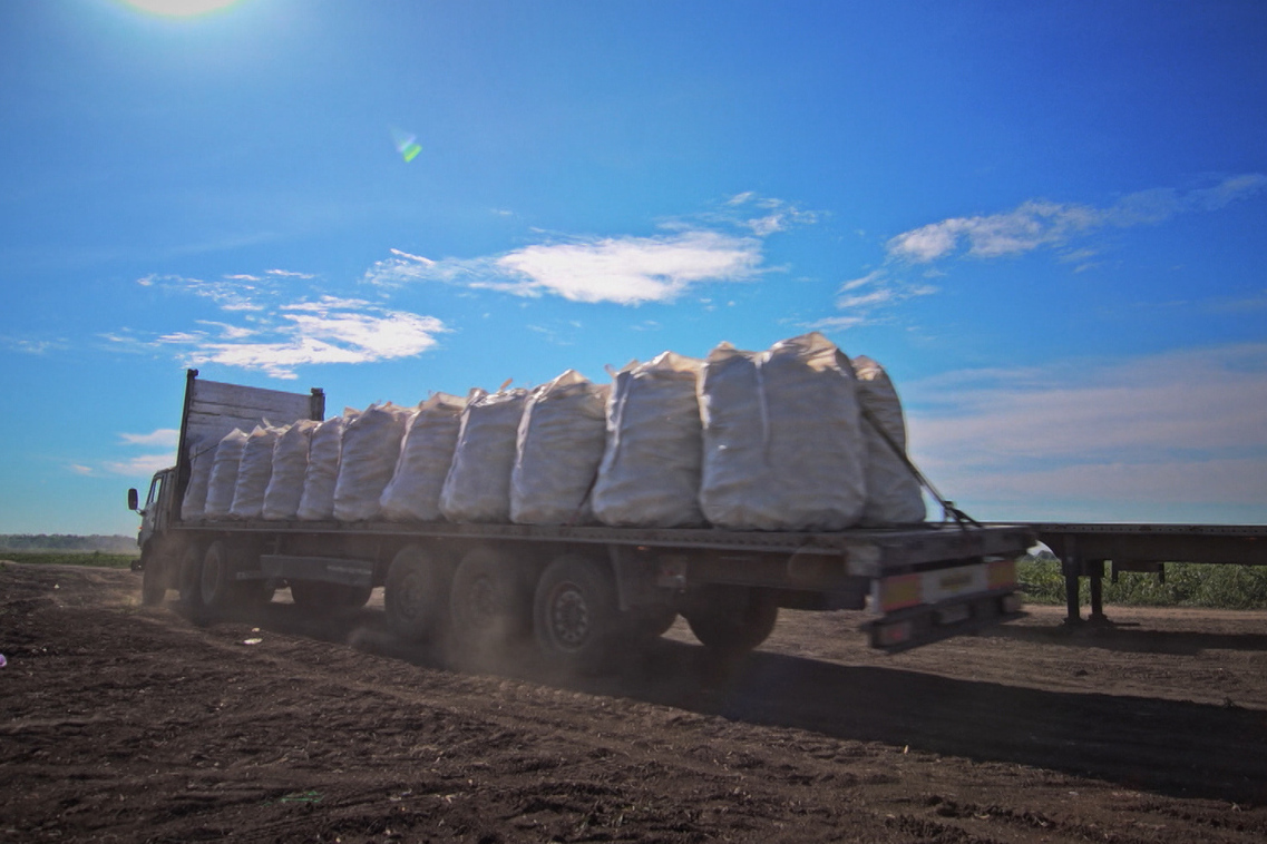 Описание изображения