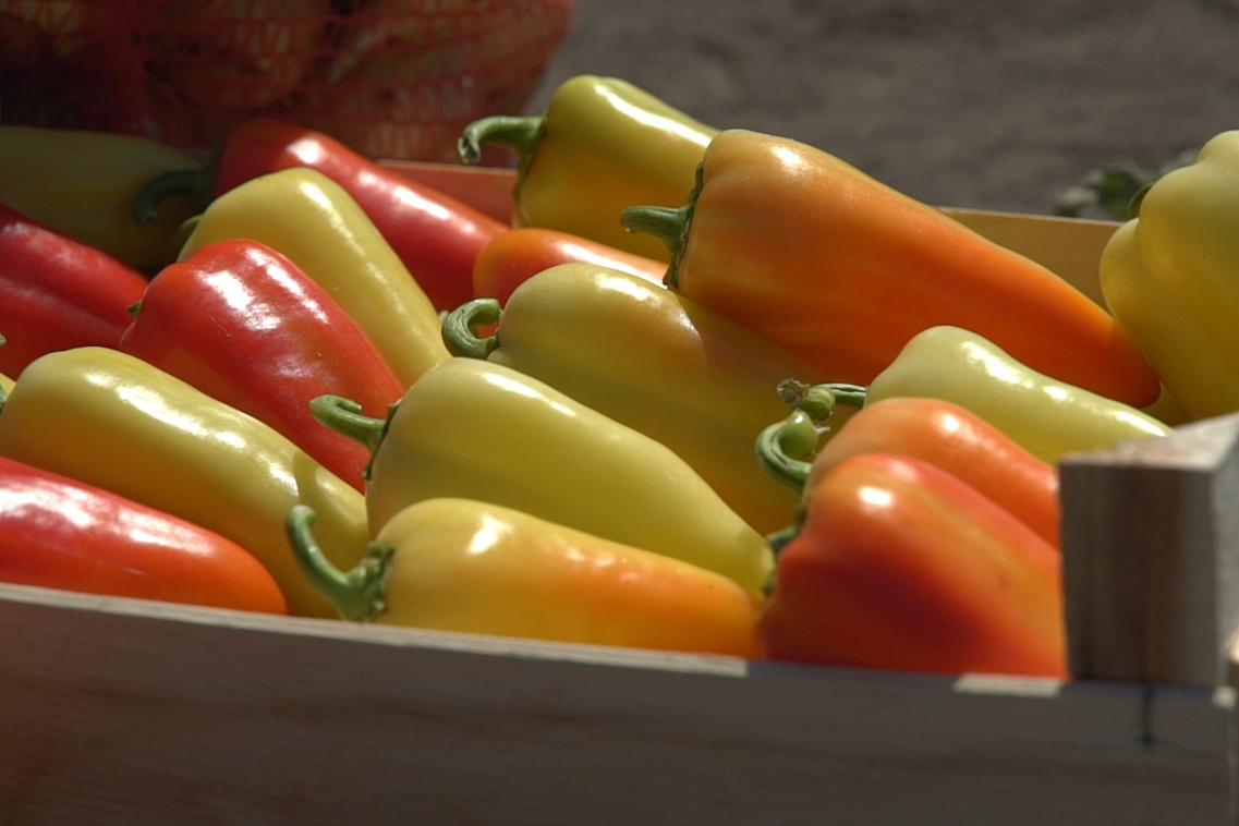 Описание изображения