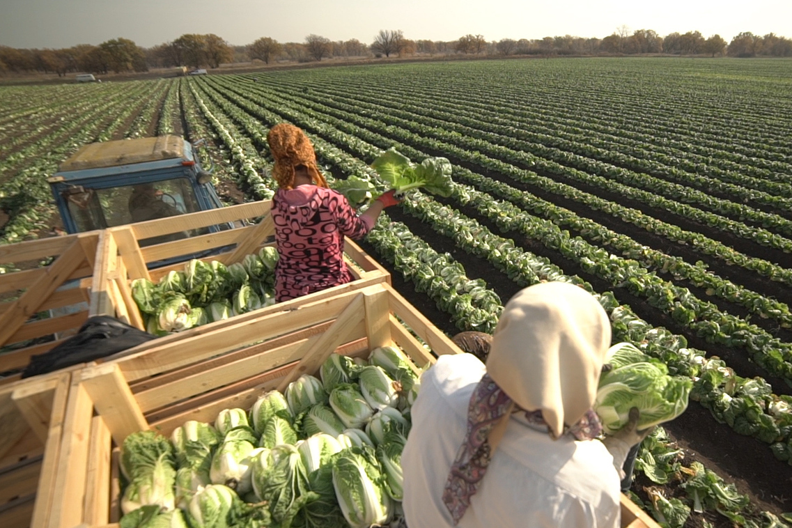 Описание изображения