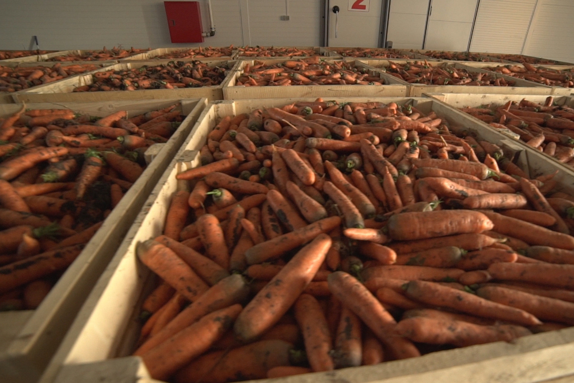 Описание изображения