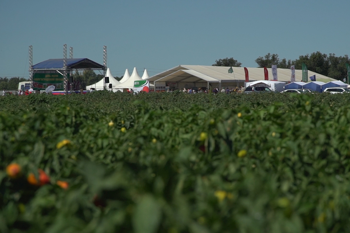 Описание изображения