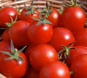 Томаты 